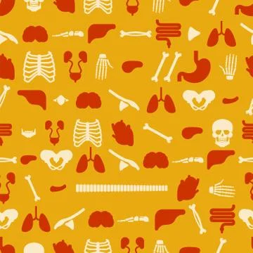 Human anatomy pattern seamless. Skeleton and Internal organs background. Syst Stock Illustration