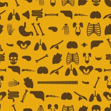 Human anatomy pattern seamless. Skeleton and Internal organs background. Syst Stock Illustration