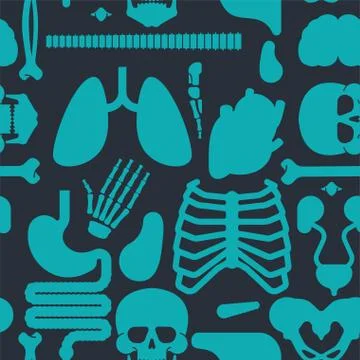 Human anatomy pattern seamless. Skeleton and Internal organs background. Syst Illustrazione stock