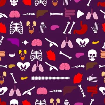 Human anatomy pattern seamless. Skeleton and Internal organs background. Syst Stock Illustration