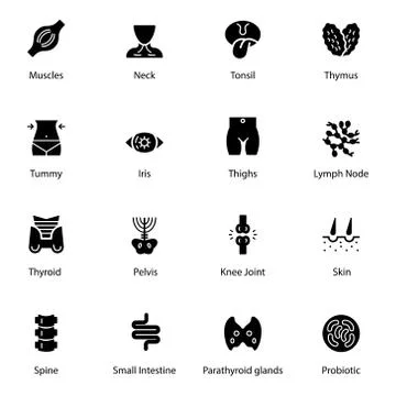 Human Anatomy Solid Icons Pack Stock Illustration