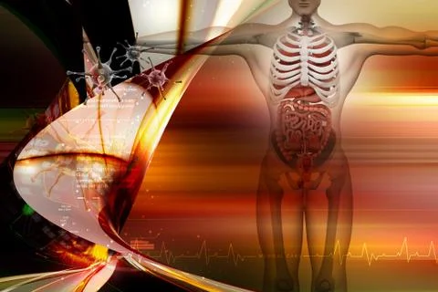 Human anatomy with virus Stock Illustration