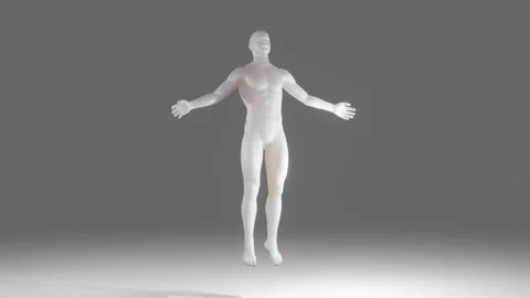 Human anatomy visualisation Stock Footage 136764253