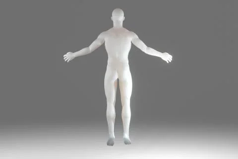Human anatomy visualisation Illustrazione stock