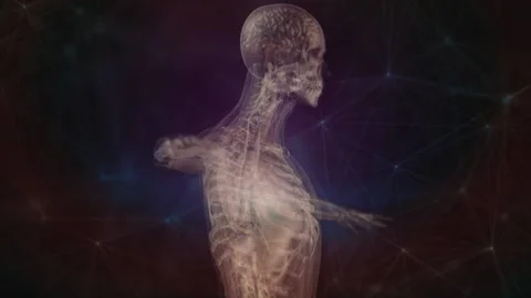Human anatomy. X-ray scanning of the human skeleton, bone scan, joint, medical Stock Footage 146949295