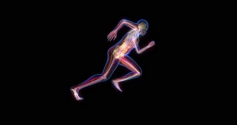 Human anatomy, x-ray style, 3D animation Stock Footage 145225767