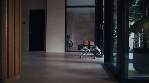 Human and AI Cooperation: Courier and Robot Dog Carry Boxes Into Building Video stock 322945648