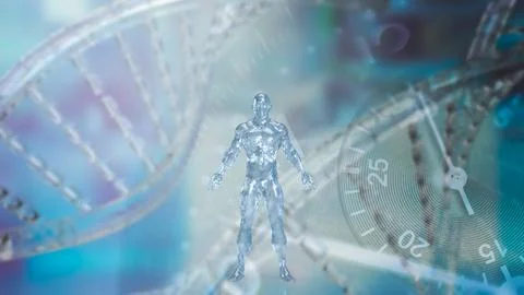 The human and cell background for sci or medical concept 3d rendering Stock Illustration