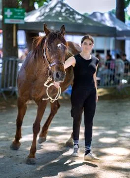 Human and horse interaction bonding and walking together outdoors Stock Photos