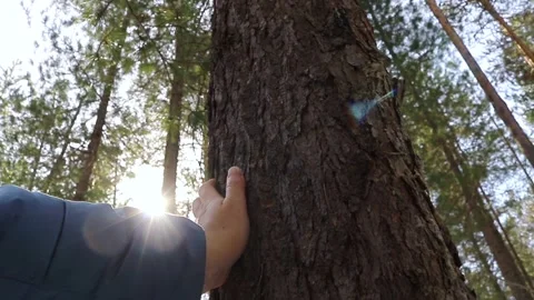 Human and nature. Stock Footage 152496344