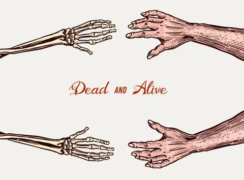 Human and Skeleton hands. Bony arm. Dead and alive concept for halloween banner Stock Illustration