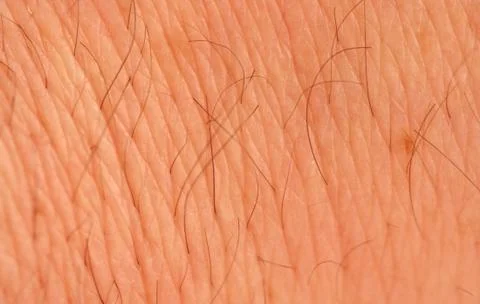 Human arm macro Stock-Fotos