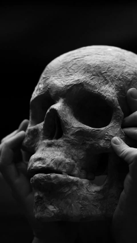 Human artificial skull in hands on black background, Halloween decoration Stock-Footage 347026053