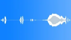 HUMAN, BABY Sound Effect