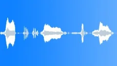 HUMAN, BABY Sound Effect