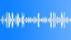 HUMAN, BABY Sound Effect