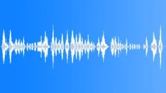 HUMAN, BABY Sound Effect