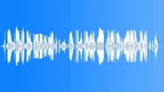 HUMAN, BABYSound Effect