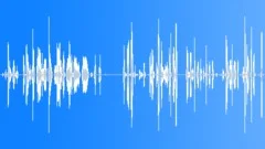 HUMAN, BABY Sound Effect