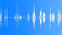 HUMAN, BABYSound Effect