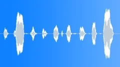 HUMAN, BABY Sound Effect