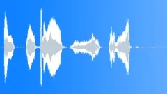 HUMAN, BABY Sound Effect