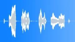 HUMAN, BABY Sound Effect
