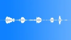 HUMAN, BABYSound Effect