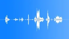 HUMAN, BABYSound Effect