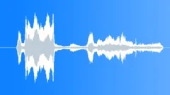 HUMAN, BABY Sound Effect