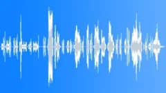 HUMAN, BABY Sound Effect