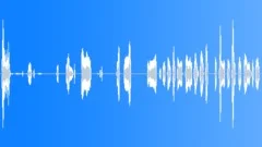 HUMAN, BABYSound Effect