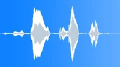 HUMAN, BABY Sound Effect