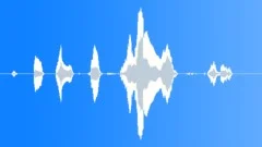 HUMAN, BABY Sound Effect