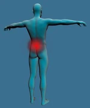 Human back Stock Illustration