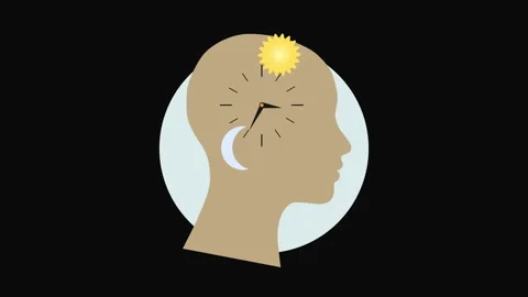 Human Biological Clock with Day and Night Cycle Flat Illustration Stock Footage 338131264