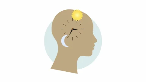 Human Biological Clock with Day and Night Cycle Flat Illustration Stock Footage 338131266
