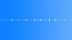 Human bite food Sound Effect
