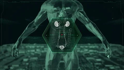 Human Bladder X-Ray Scanner with HUD UI Animation Stock Illustration
