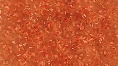 Human blood under a microscope. You can see erythrocytes - red blood cells... Stock Photos