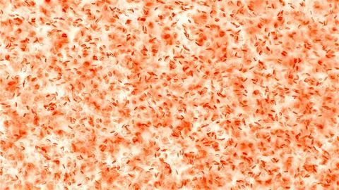 Human blood under a microscope. You can see erythrocytes - red blood cells. T Stock Photos