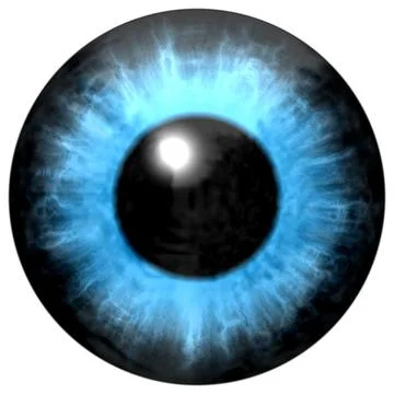 Human blue eye iris. Isolated blue eye in detail with light reflection Stock Illustration
