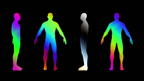 Human Bodies Rotating Stock Footage 145747921