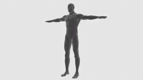 Human body  360 rotation, Loop, transparency on the alpha channel Stock Footage 208810145