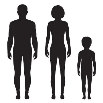 Human body anatomy, Stock Illustration