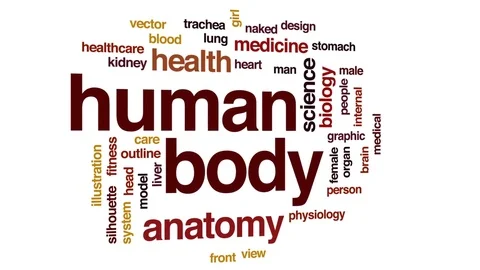 Human body animated word cloud, text des... | Stock Video | Pond5