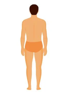 Human body Character Back Stock Illustration