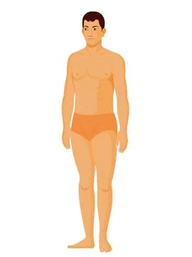 Human body Character Stock Illustration