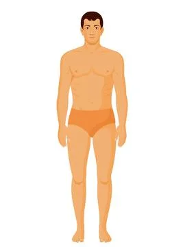 Human body Character Stock Illustration