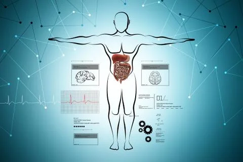 Human body with digestive system Stock Illustration